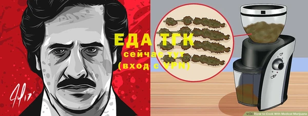 СК Сосновый Бор