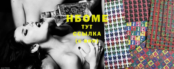 2c-b Горно-Алтайск