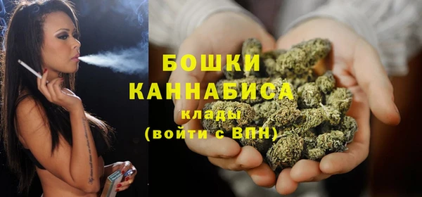 2c-b Горно-Алтайск