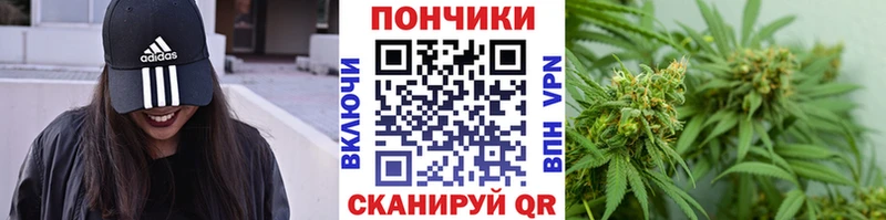 купить наркотики цена  Оренбург  Шишки марихуана семена 